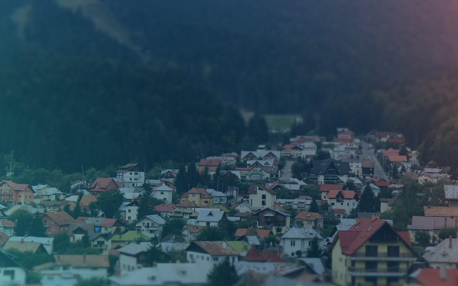 A picture of a village with houses and a forest in the background. It symbolizes partizipation.