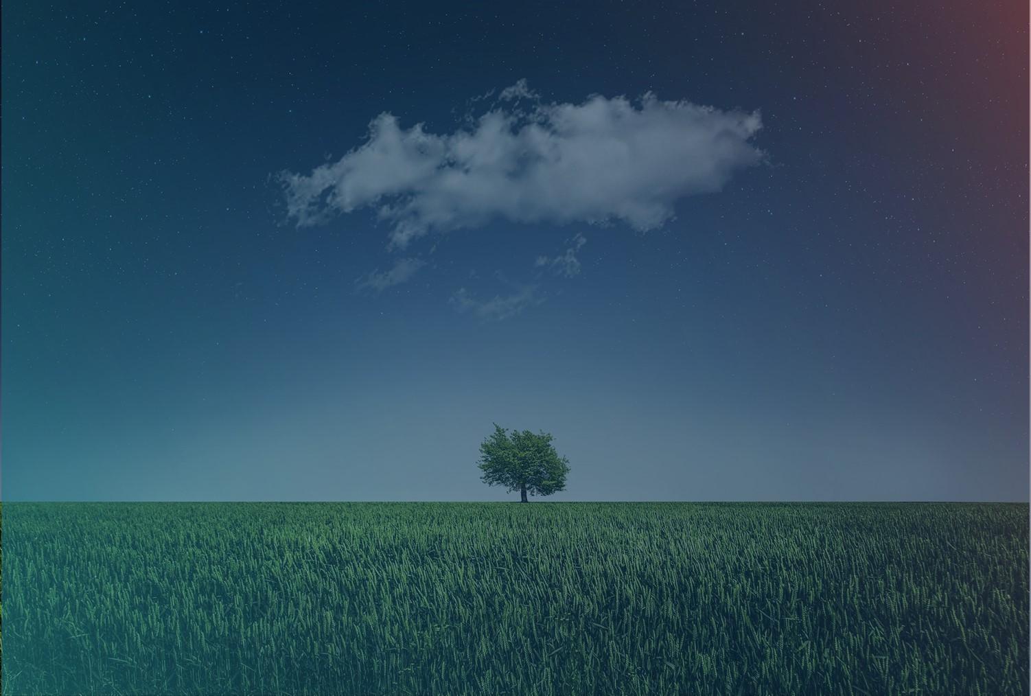 A green landscape with a cloud over it (symbolizing green cloud plattforms).